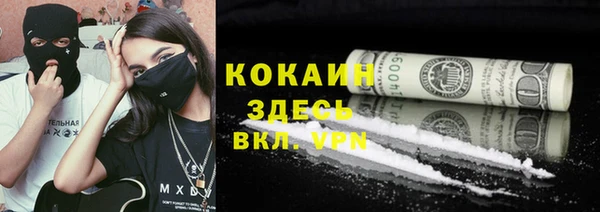 спайс Богданович