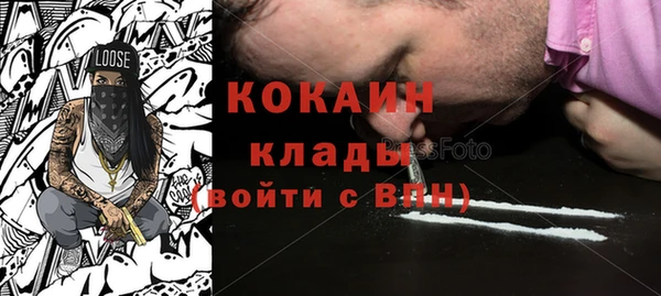спайс Богданович
