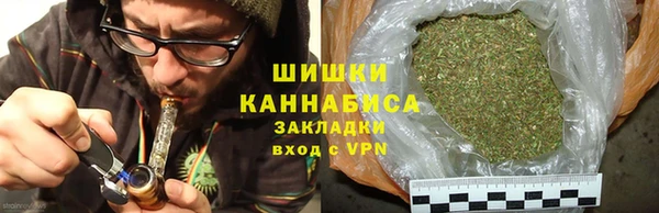 дурь Сатка