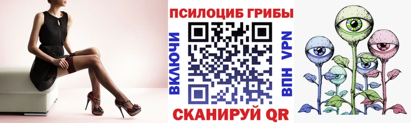 магазин наркотиков Брянск Псилоцибиновые грибы MAGIC MUSHROOMS