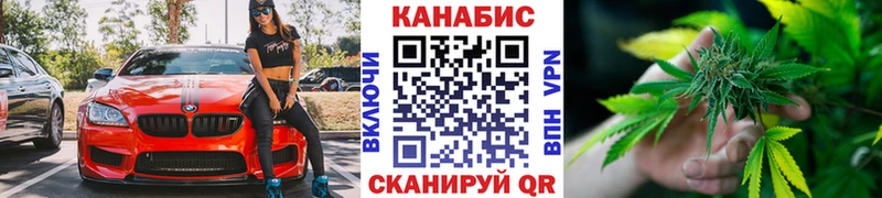 Конопля Amnesia  как найти   Брянск 